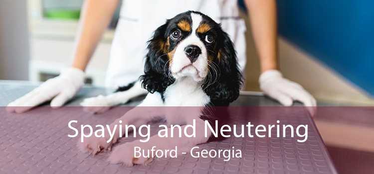Spaying and Neutering Buford - Georgia