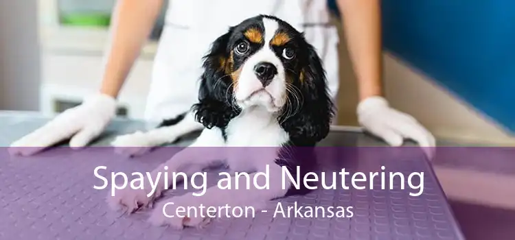 Spaying and Neutering Centerton - Arkansas