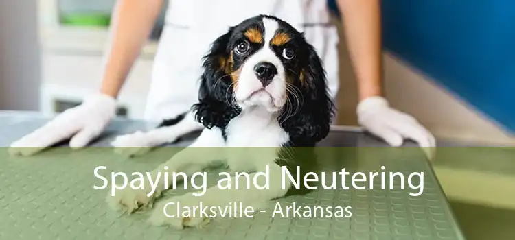 Spaying and Neutering Clarksville - Arkansas