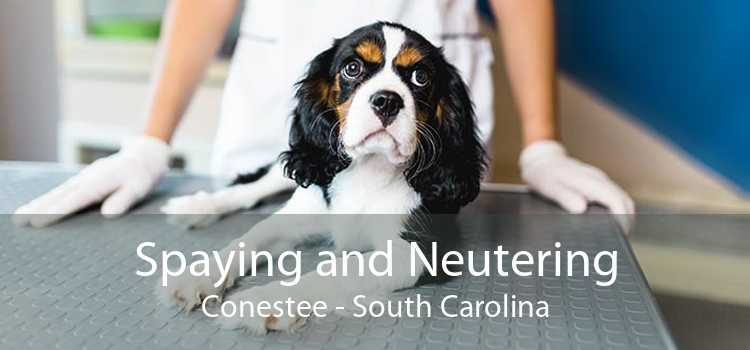 Spaying and Neutering Conestee - South Carolina