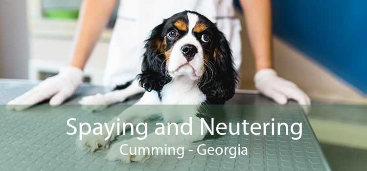 Spaying and Neutering Cumming - Georgia
