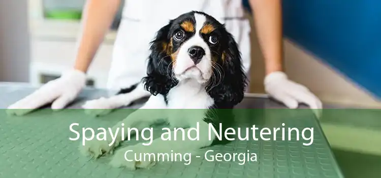 Spaying and Neutering Cumming - Georgia