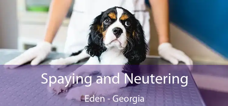 Spaying and Neutering Eden - Georgia