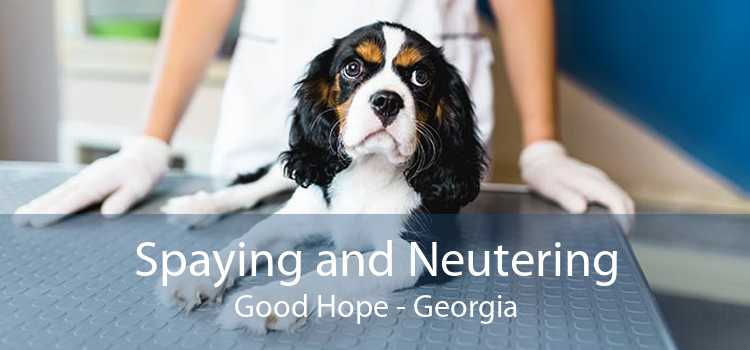 Spaying and Neutering Good Hope - Georgia