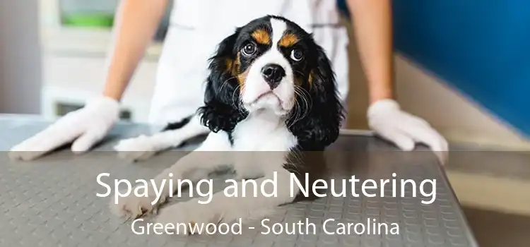 Spaying and Neutering Greenwood - South Carolina