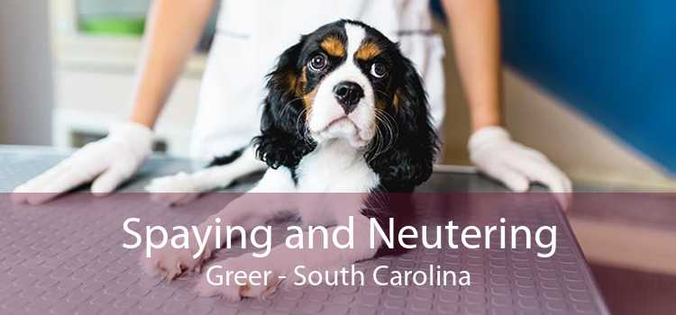 Spaying and Neutering Greer - South Carolina