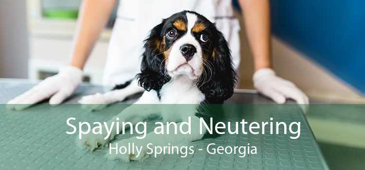 Spaying and Neutering Holly Springs - Georgia