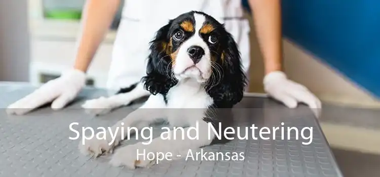 Spaying and Neutering Hope - Arkansas