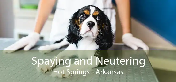 Spaying and Neutering Hot Springs - Arkansas