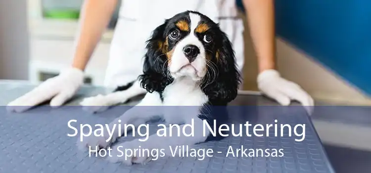 Spaying and Neutering Hot Springs Village - Arkansas