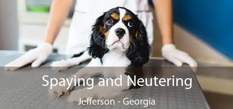 Spaying and Neutering Jefferson - Georgia