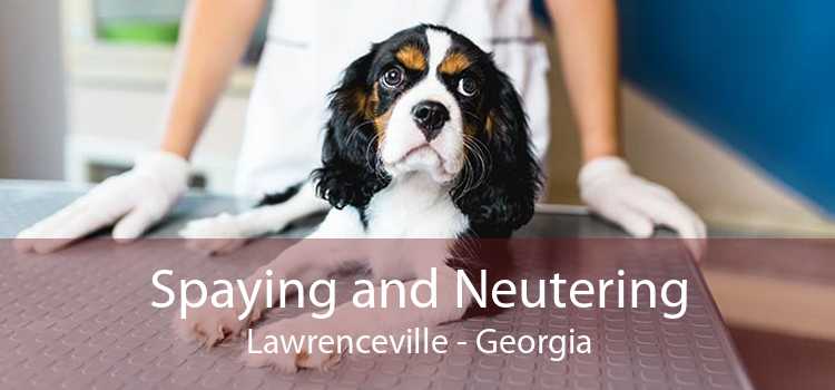 Spaying and Neutering Lawrenceville - Georgia