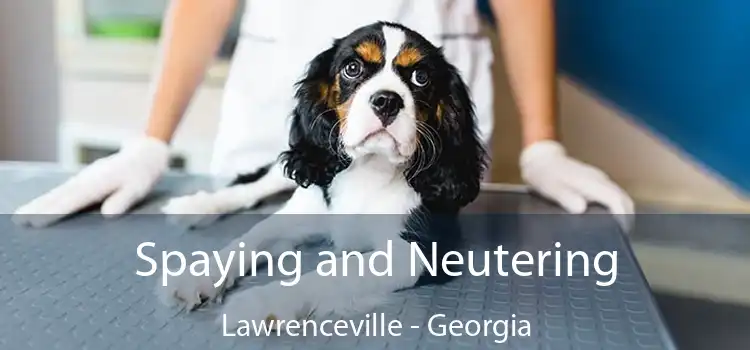 Spaying and Neutering Lawrenceville - Georgia