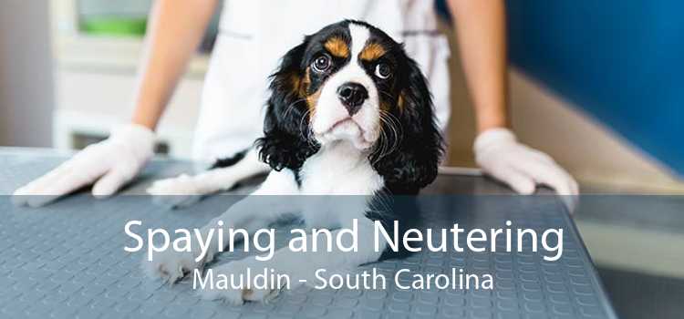 Spaying and Neutering Mauldin - South Carolina