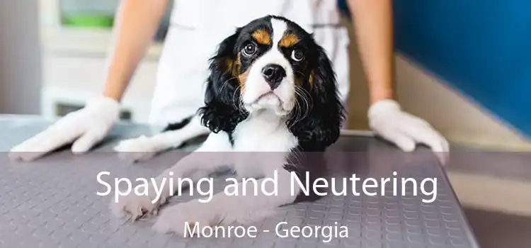 Spaying and Neutering Monroe - Georgia