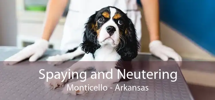 Spaying and Neutering Monticello - Arkansas