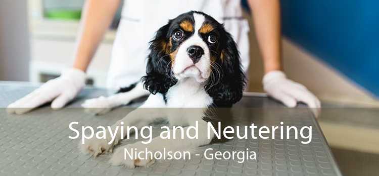 Spaying and Neutering Nicholson - Georgia