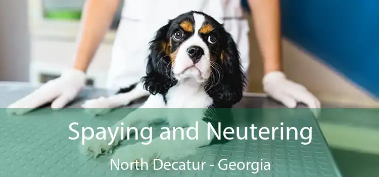 Spaying and Neutering North Decatur - Georgia