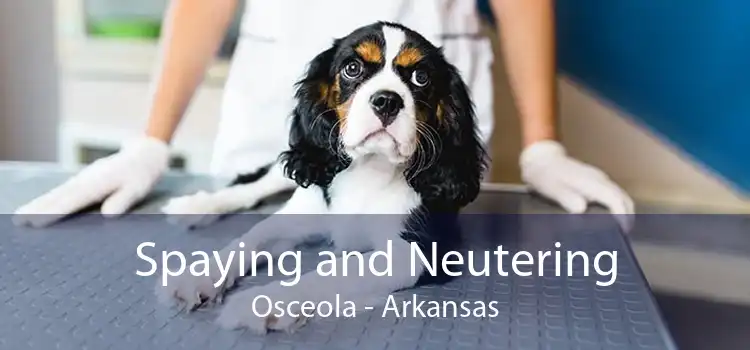 Spaying and Neutering Osceola - Arkansas