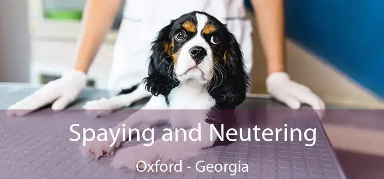 Spaying and Neutering Oxford - Georgia