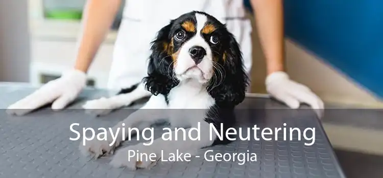 Spaying and Neutering Pine Lake - Georgia