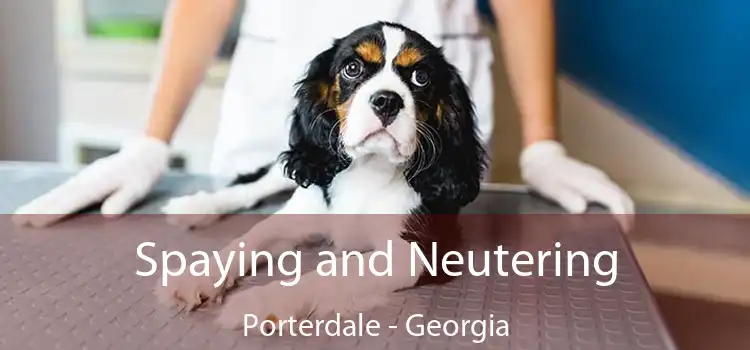 Spaying and Neutering Porterdale - Georgia