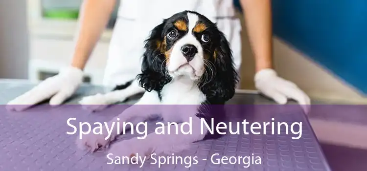 Spaying and Neutering Sandy Springs - Georgia