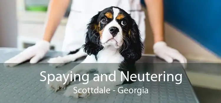 Spaying and Neutering Scottdale - Georgia