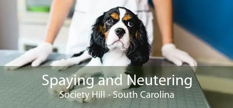 Spaying and Neutering Society Hill - South Carolina