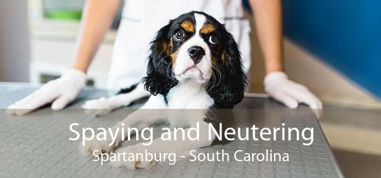 Spaying and Neutering Spartanburg - South Carolina