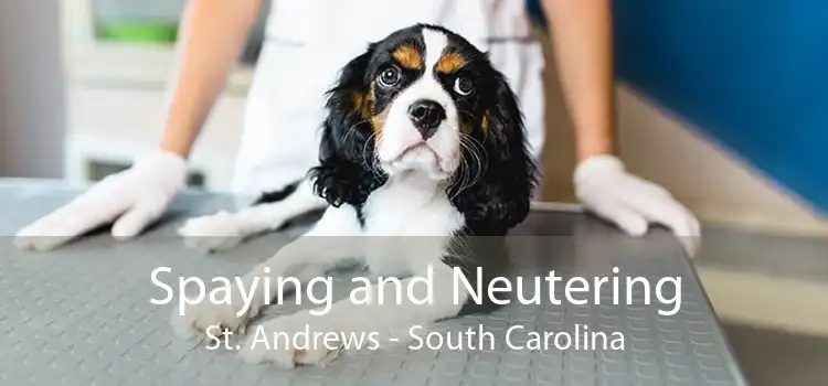 Spaying and Neutering St. Andrews - South Carolina