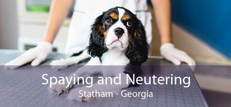 Spaying and Neutering Statham - Georgia