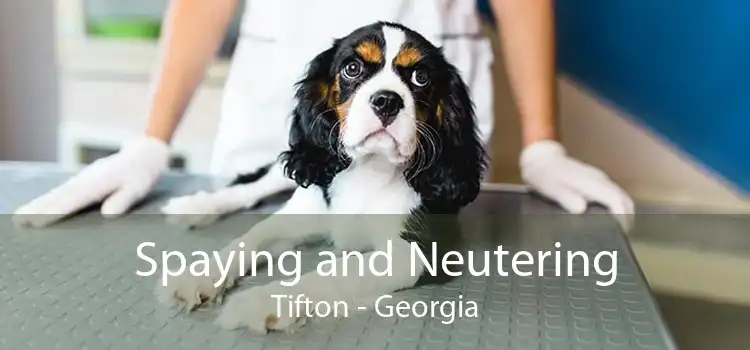 Spaying and Neutering Tifton - Georgia
