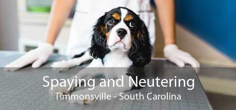 Spaying and Neutering Timmonsville - South Carolina