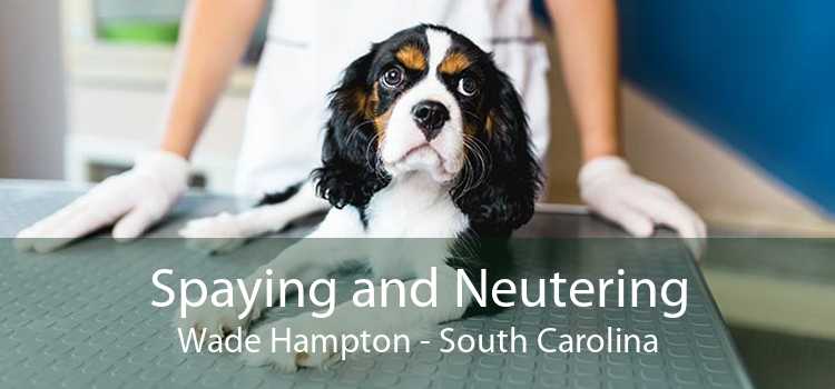 Spaying and Neutering Wade Hampton - South Carolina
