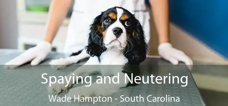 Spaying and Neutering Wade Hampton - South Carolina