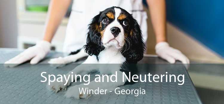 Spaying and Neutering Winder - Georgia
