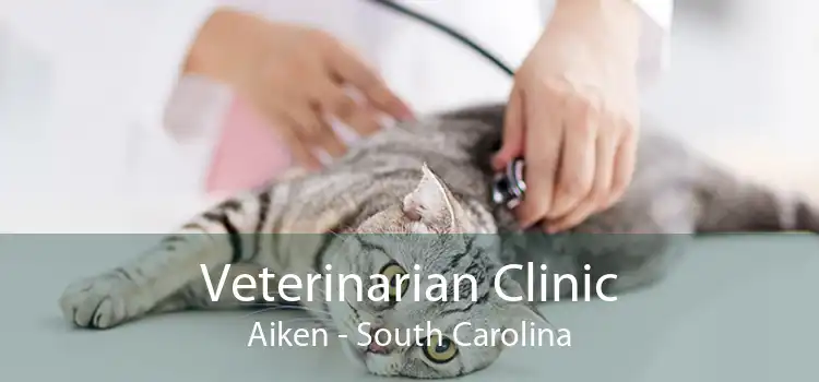 Veterinarian Clinic Aiken - South Carolina