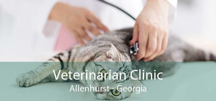 Veterinarian Clinic Allenhurst - Georgia