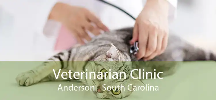 Veterinarian Clinic Anderson - South Carolina