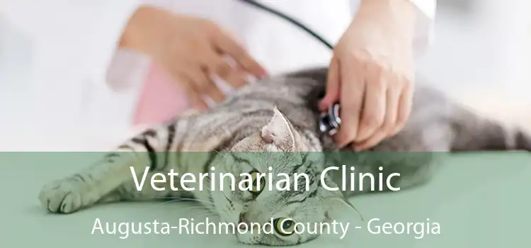 Veterinarian Clinic Augusta-Richmond County - Georgia