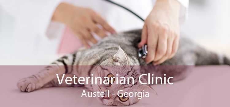 Veterinarian Clinic Austell - Georgia