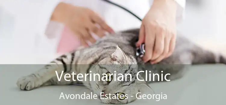 Veterinarian Clinic Avondale Estates - Georgia