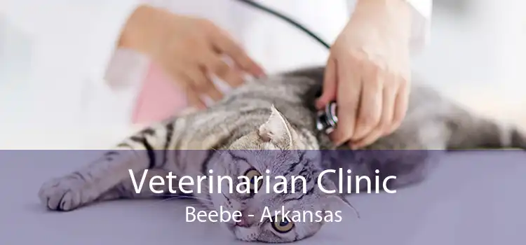 Veterinarian Clinic Beebe - Arkansas