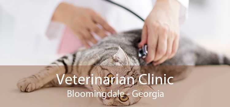 Veterinarian Clinic Bloomingdale - Georgia