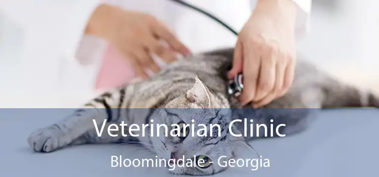 Veterinarian Clinic Bloomingdale - Georgia