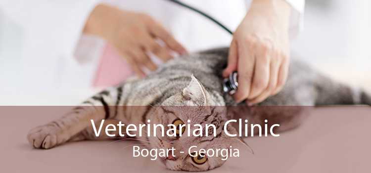 Veterinarian Clinic Bogart - Georgia