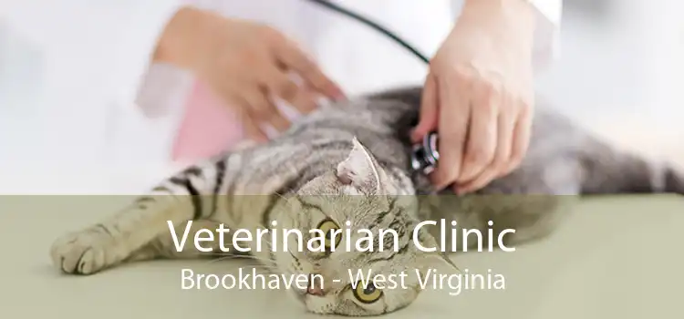Veterinarian Clinic Brookhaven - West Virginia