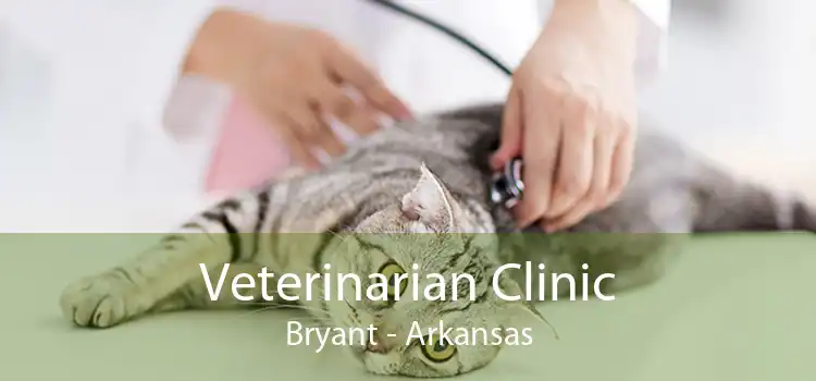 Veterinarian Clinic Bryant - Arkansas