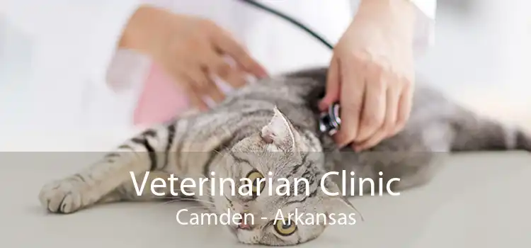 Veterinarian Clinic Camden - Arkansas